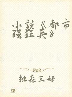 小说《都市之最强狂兵》