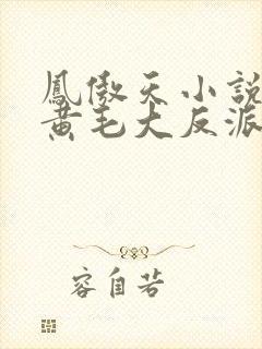 凤傲天小说里的黄毛大反派