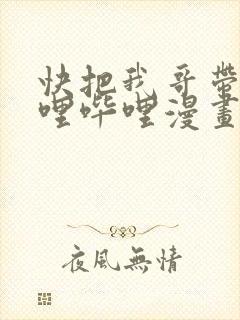 快把我哥带走哔哩哔哩漫画