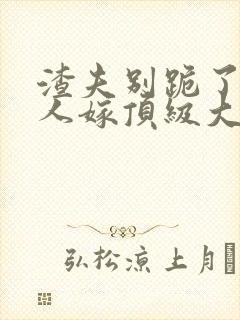 渣夫别跪了,夫人嫁顶级大佬显怀啦 乐恩