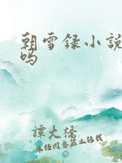 朝雪录小说好看吗