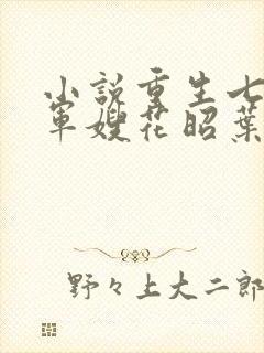 小说重生七零小军嫂花昭叶深