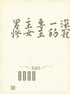 男主专一深情爱惨女主的宠文