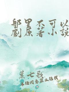 那里不可以广播剧原著小说叫什么