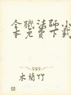 全职法师小说全本免费下载