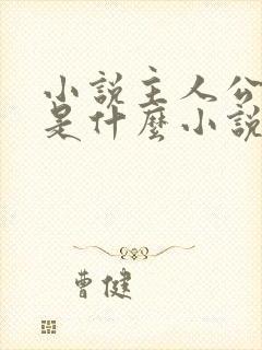 小说主人公叶辰是什么小说名