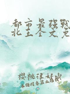 都市最强战神宁北王全文免费阅读