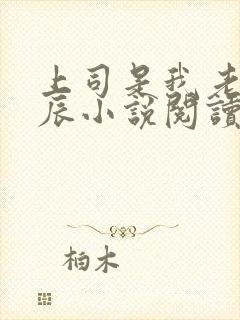 上司是我老公陈辰小说阅读免费下载全文