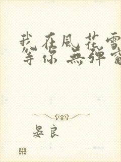 我在风花雪月里等你 无弹窗