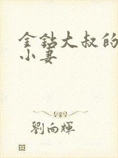 金钻大叔的萌宠小妻