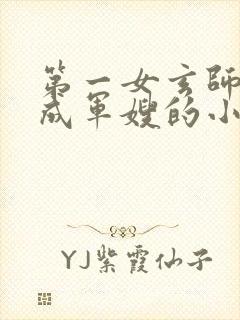 第一女玄师穿越成军嫂的小说