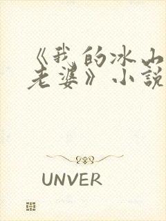《我的冰山总裁老婆》小说