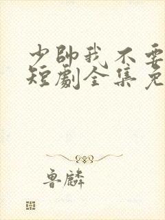 少帅我不要你了短剧全集免费