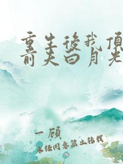 重生后我顶替了前夫白月光的