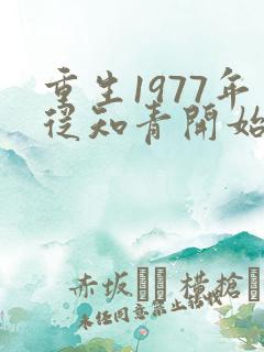 重生1977年从知青开始的小说