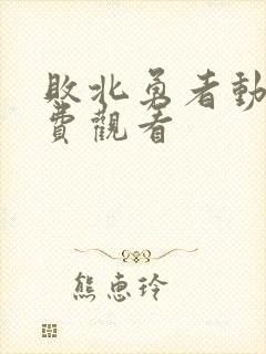 败北勇者动漫免费观看