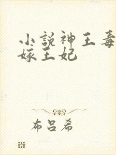 小说神王毒宠二嫁王妃