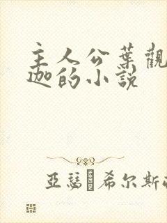 主人公叶观纳兰迦的小说