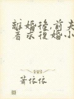 离婚后,前夫哭着求复婚小说阅读