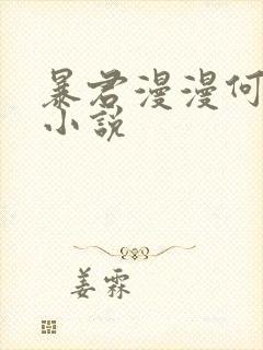 暴君漫漫何其多小说