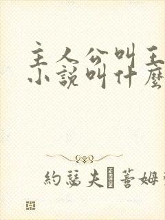 主人公叫王峰的小说叫什么名字