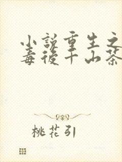 小说重生之将门毒后千山茶客完本