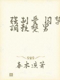 强制爱 囚禁 调教双男