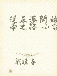 从反派开始的影帝之路 小说