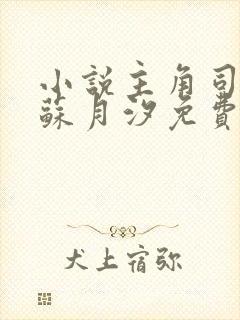 小说主角司空靖苏月汐免费阅读