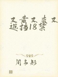 又黄又爽又色无遮挡18禁