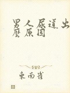 男人尿道出血什么原因