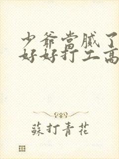 少爷当腻了只想好好打工高清