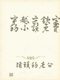 穿越宋钦宗赵恒的小说免费阅读