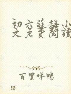 初六苏梅小说全文免费阅读笔趣阁