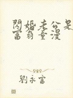 闪婚老公是亿万富翁童漫