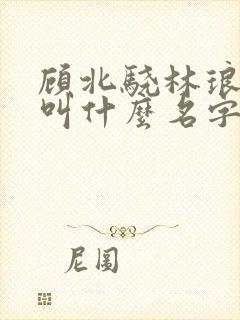 顾北骁林琅小说叫什么名字