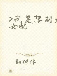 >我是限制文的女配