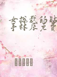 女总裁的贴身高手林辰免费阅读