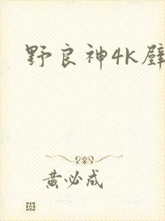 野良神4k壁纸