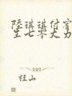 陆琪琪付宥光重生七零大力女知青