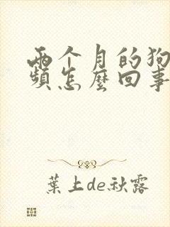 两个月的狗狗尿频怎么回事