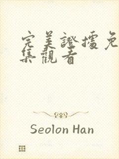 完美证据免费全集观看