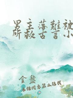 男主落难被女主所救古言小说