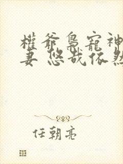 权爷枭宠神秘娇妻 悠哉依然