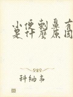 小便刺鼻有泡沫是什么原因引起的