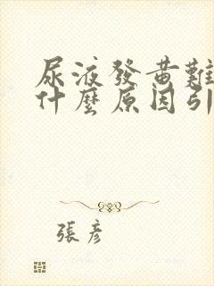 尿液发黄难闻是什么原因引起的女性