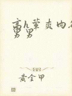 高h荤爽肉欲文男男