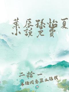 叶辰孙怡夏若雪小说免费