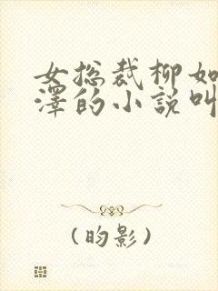 女总裁柳如烟陈泽的小说叫什么