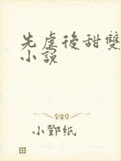 先虐后甜双男主小说